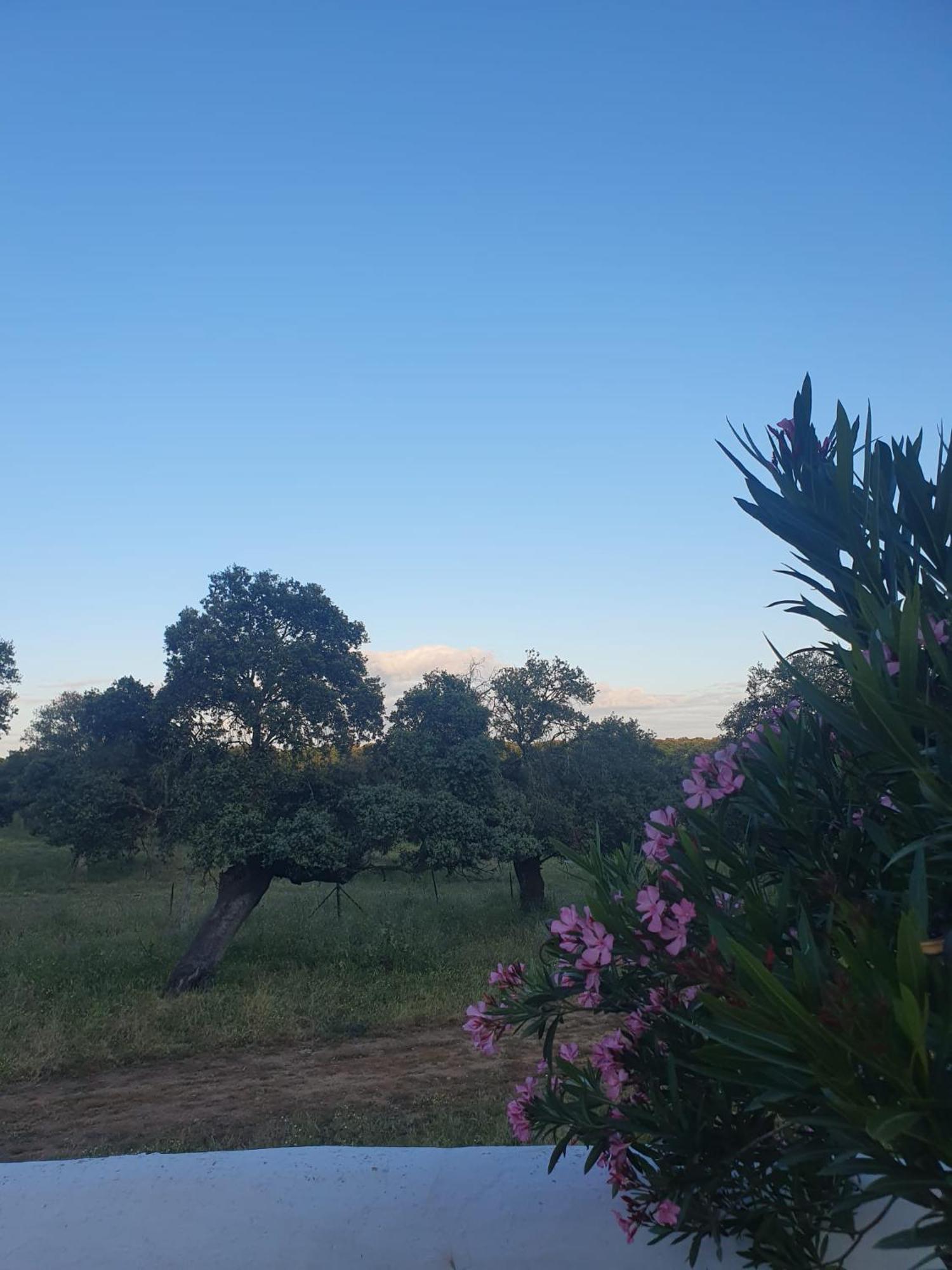 Hotel Rural El Vaqueril Navas del Madroño المظهر الخارجي الصورة