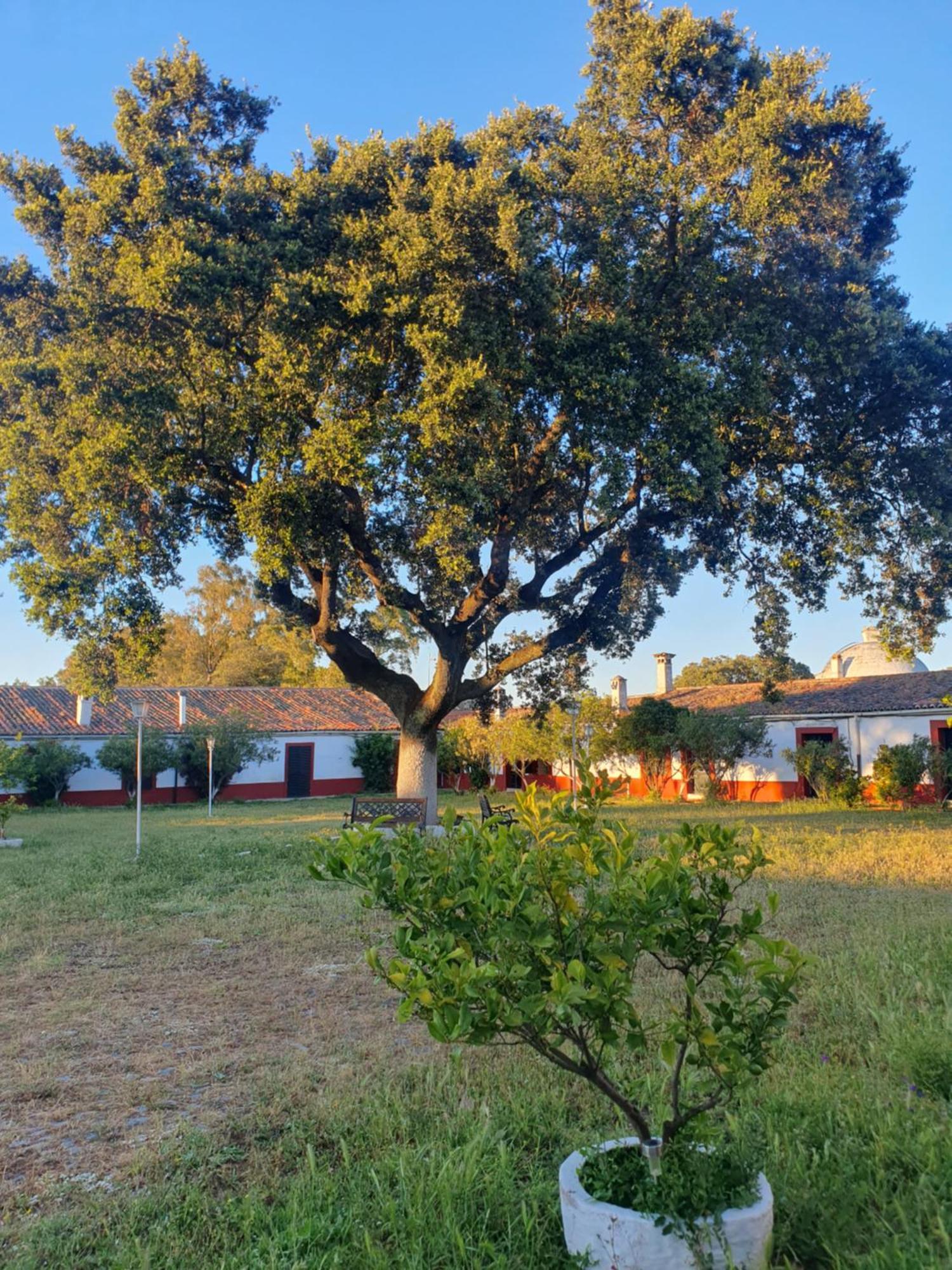 Hotel Rural El Vaqueril Navas del Madroño المظهر الخارجي الصورة