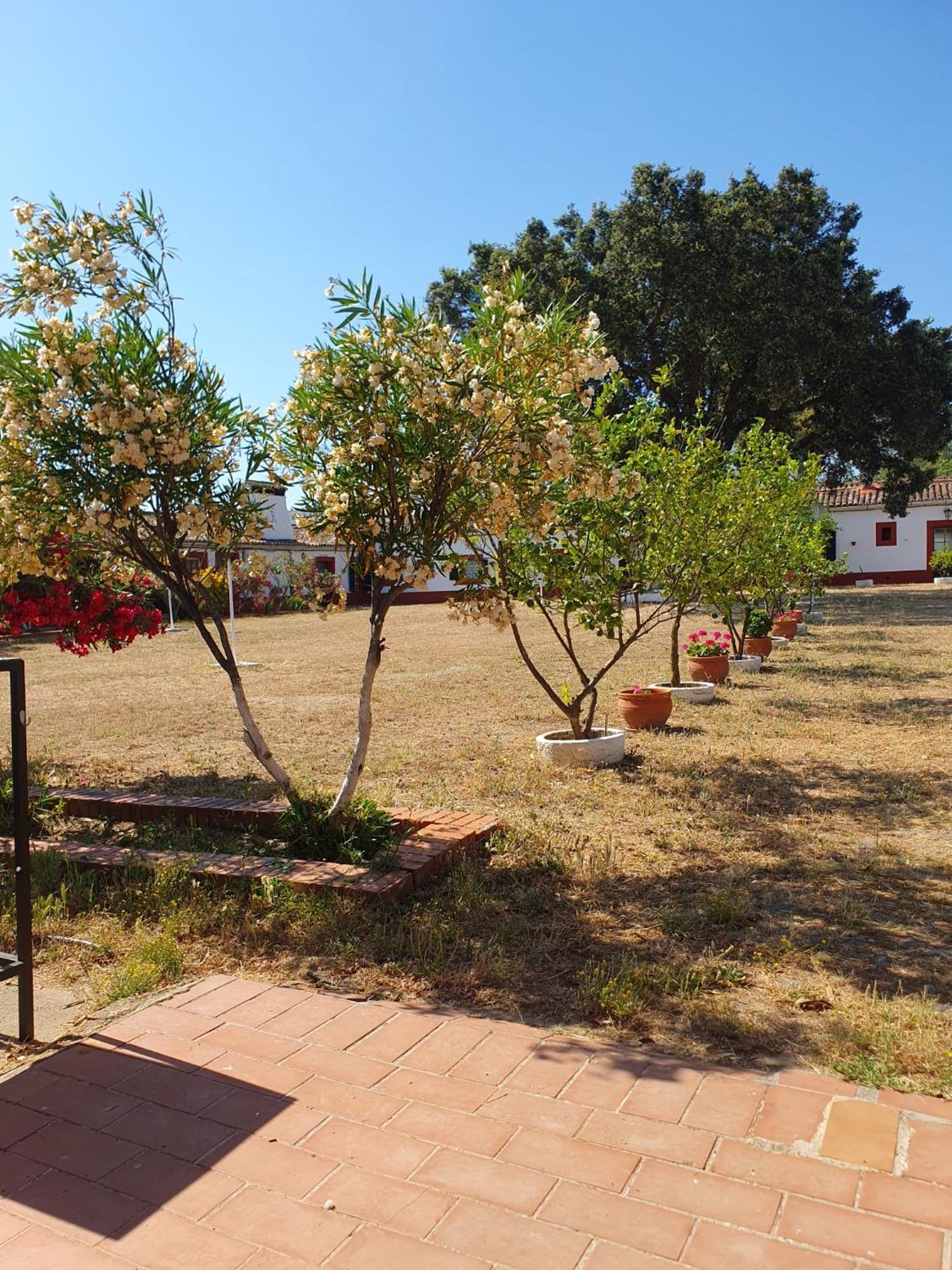 Hotel Rural El Vaqueril Navas del Madroño المظهر الخارجي الصورة